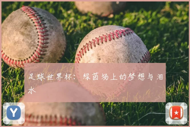 足球世界杯：绿茵场上的梦想与泪水