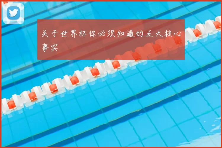 关于世界杯你必须知道的五大核心事实