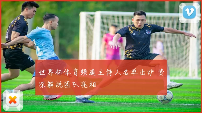 世界杯体育频道主持人名单出炉 资深解说团队亮相