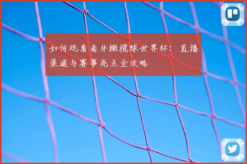 如何观看南非橄榄球世界杯:直播渠道与赛事亮点全攻略