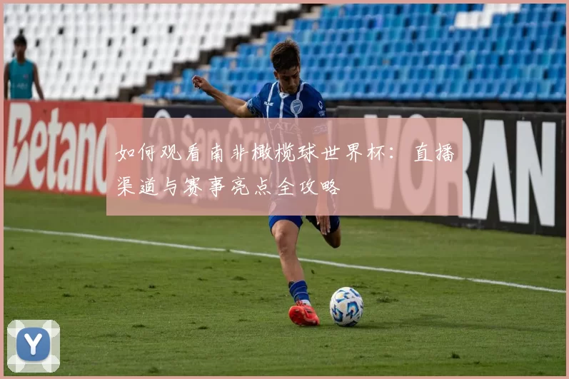 如何观看南非橄榄球世界杯：直播渠道与赛事亮点全攻略