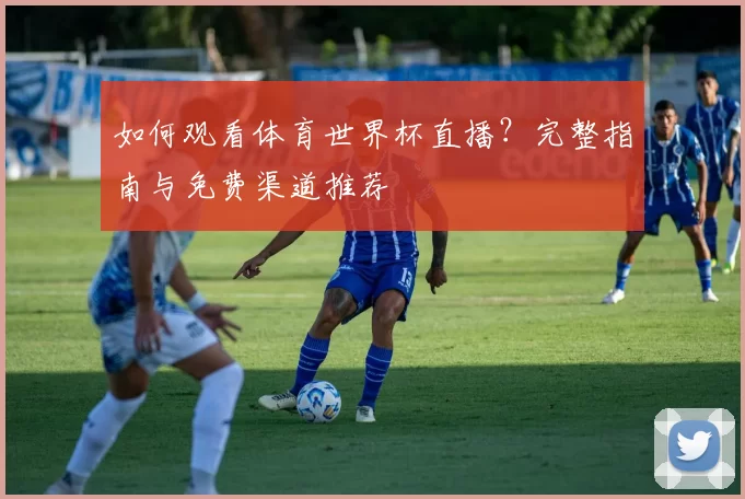 如何观看体育世界杯直播？完整指南与免费渠道推荐