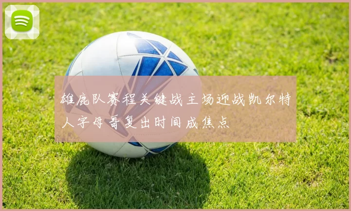 雄鹿队赛程关键战主场迎战凯尔特人字母哥复出时间成焦点