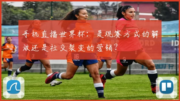 手机直播世界杯：是观赛方式的解放还是社交裂变的营销？