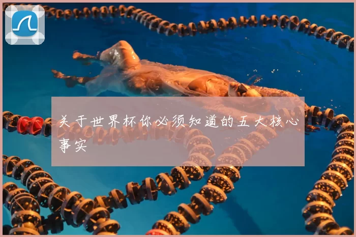 关于世界杯你必须知道的五大核心事实
