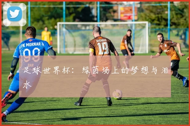 足球世界杯:绿茵场上的梦想与泪水