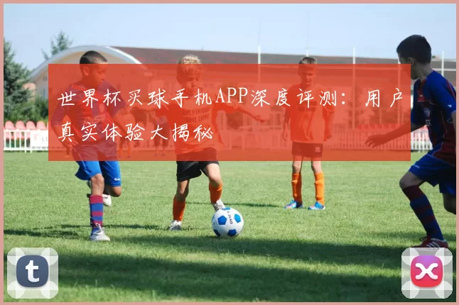 世界杯买球手机APP深度评测:用户真实体验大揭秘