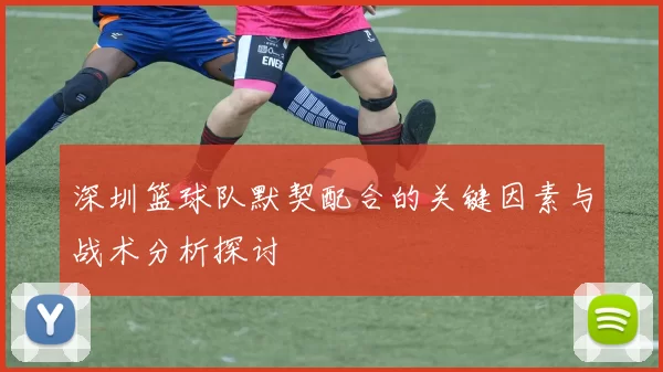 深圳篮球队默契配合的关键因素与战术分析探讨