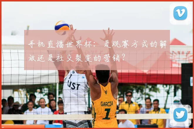 手机直播世界杯:是观赛方式的解放还是社交裂变的营销?